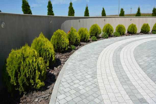 Best Driveway Paving Company  in USA